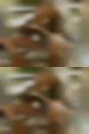 Naked girls for Hastings