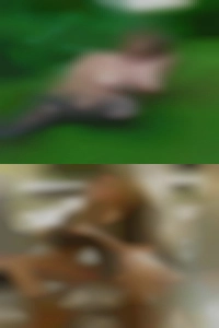 romainedangerfield, milf fuck in